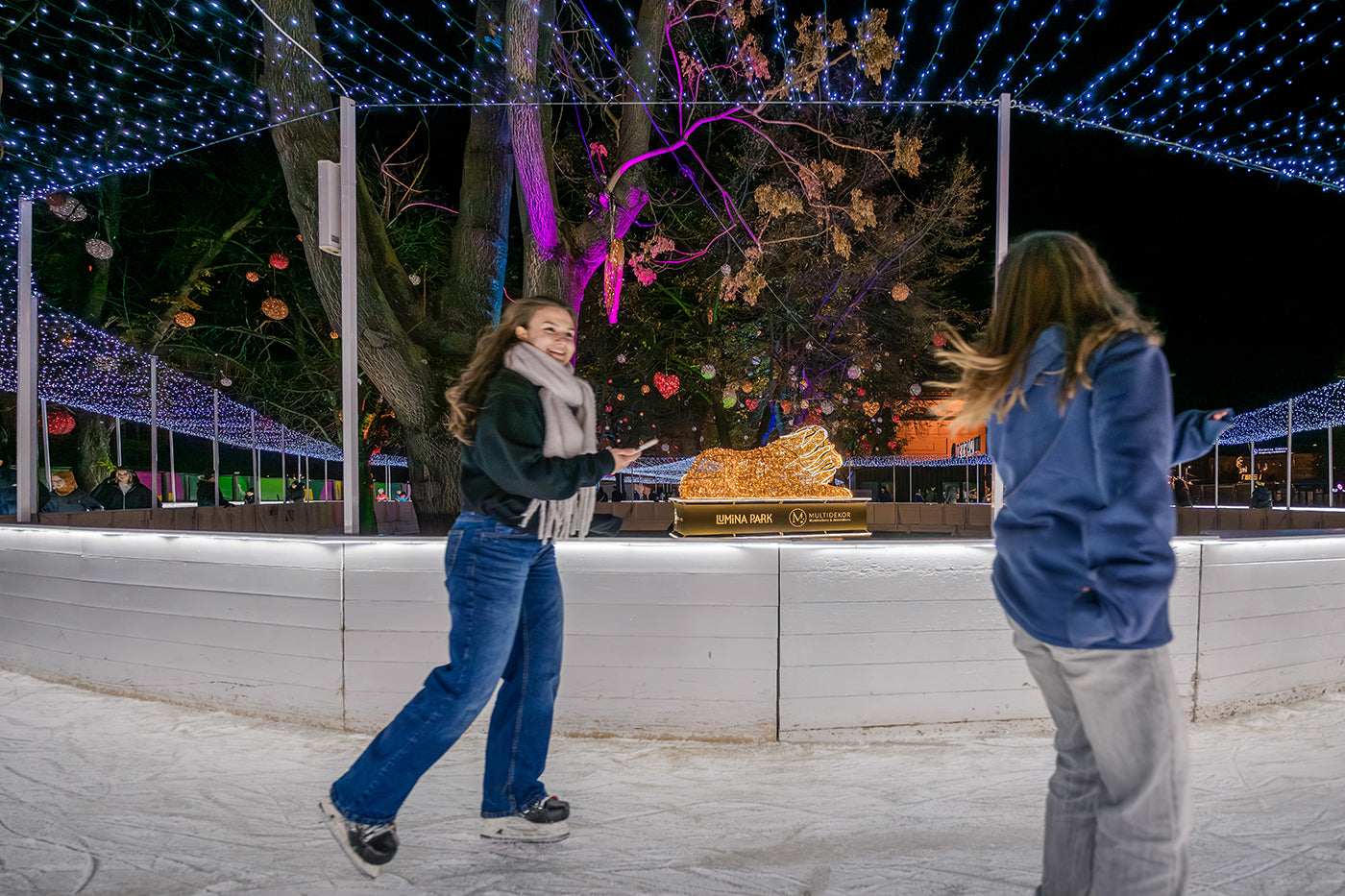 Skaters in the City Hall Park #7755