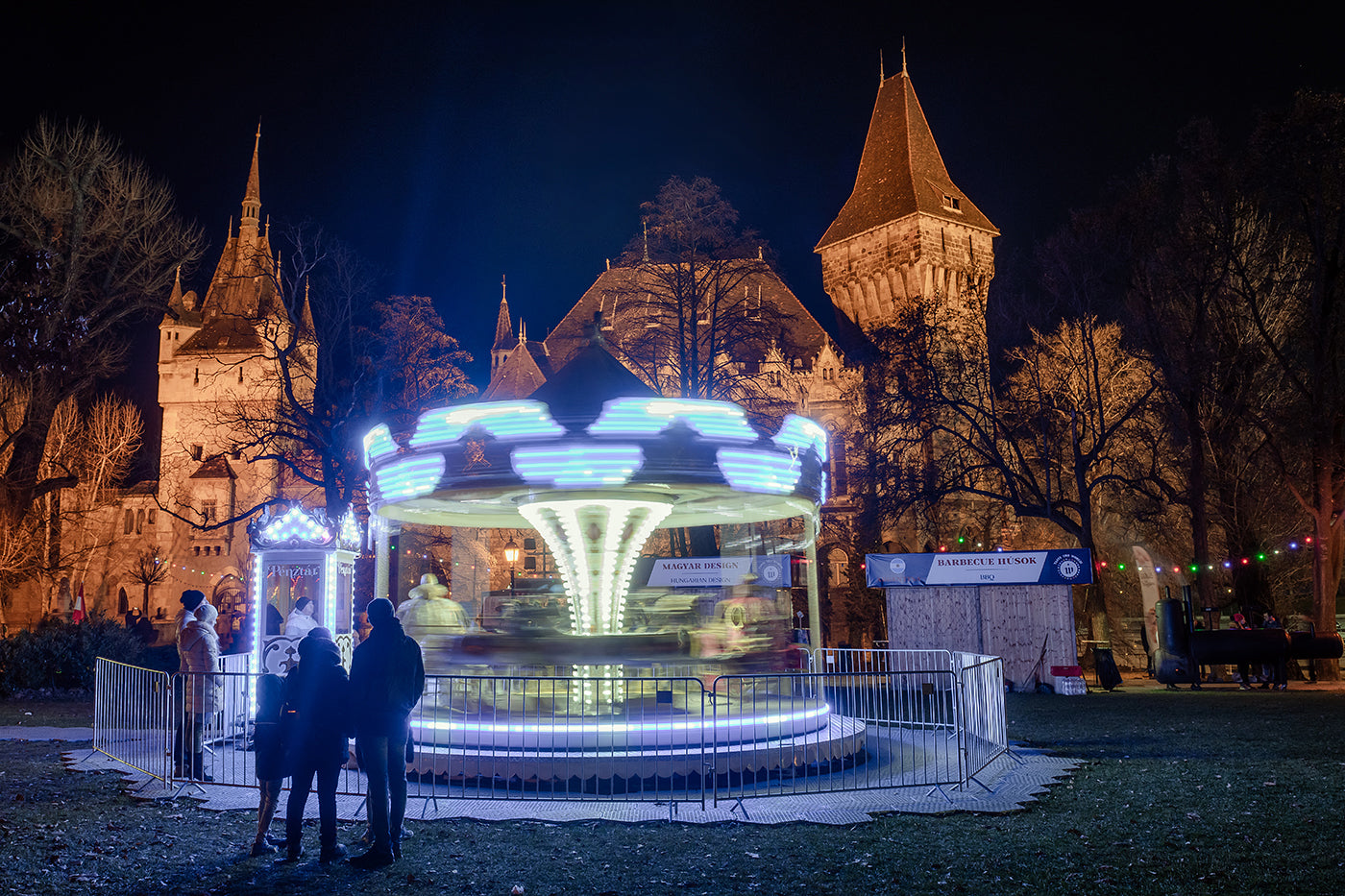 Christmas in the City Park #8004