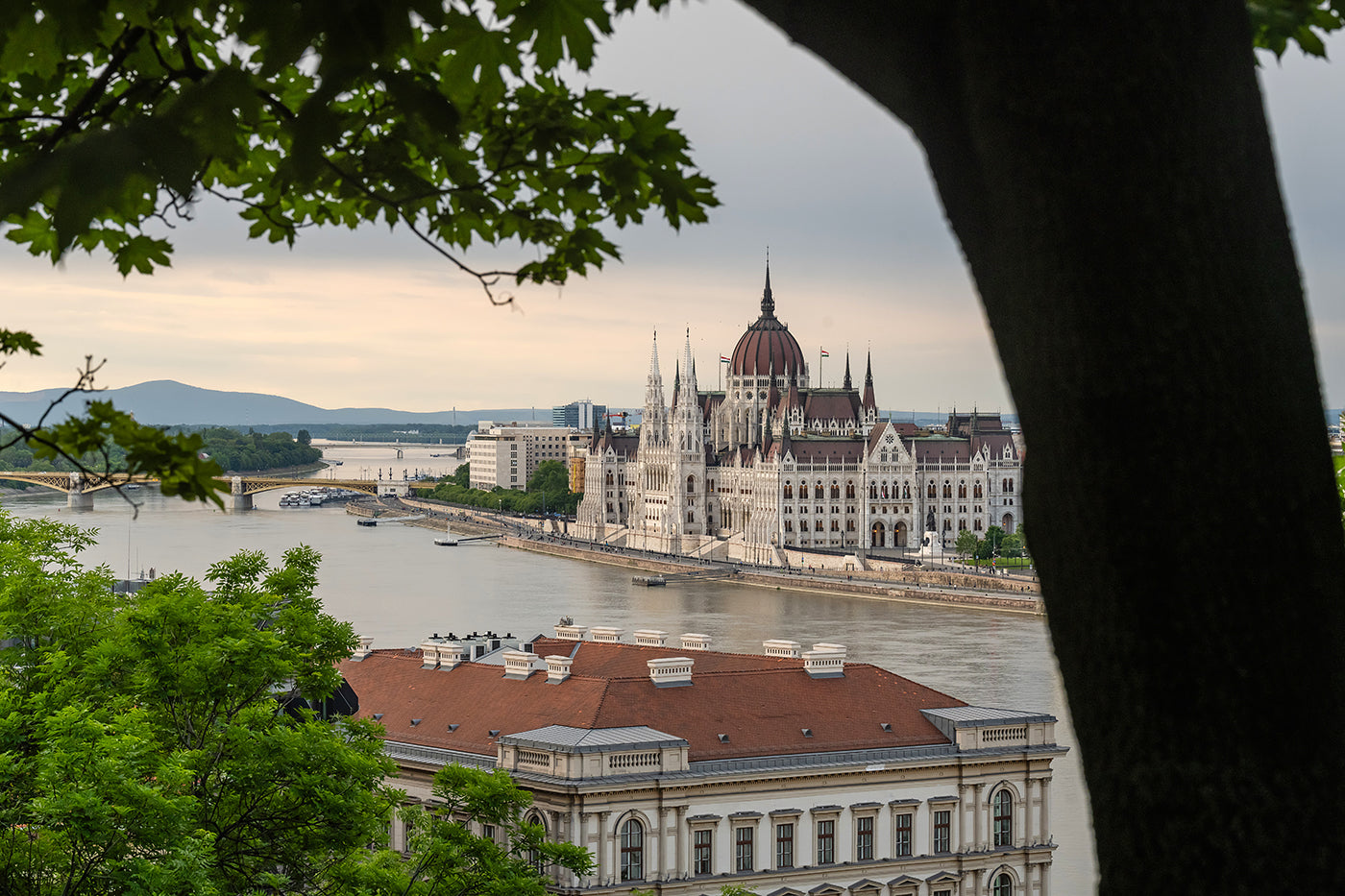 Parliament from the Castle #8147