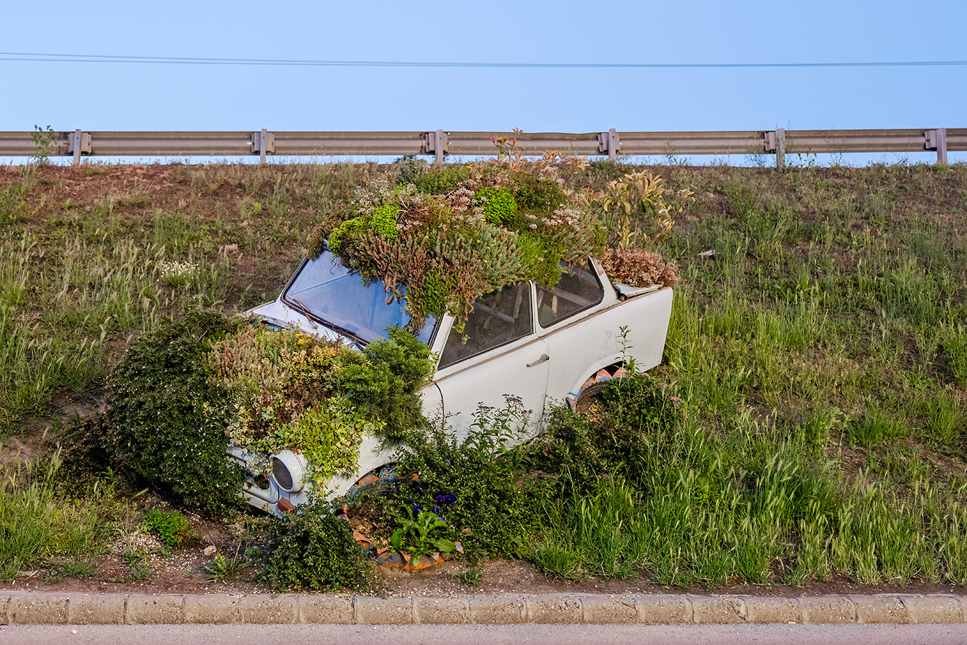 Trabant flowerbed at WestEnd #8188