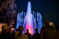 Margaret Island Fountain at night #8398