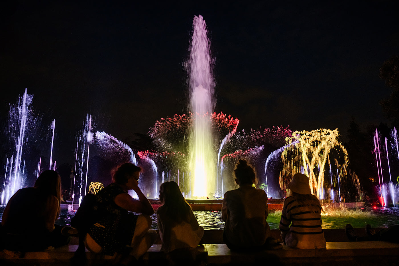 Margaret Island Fountain at night #8399