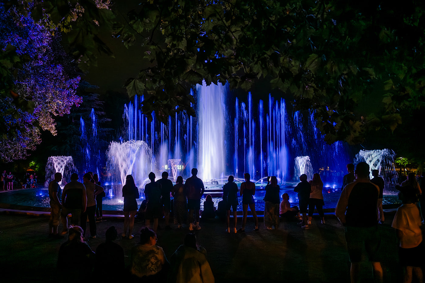 Margaret Island Fountain at night #8404