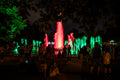 Margaret Island Fountain at night #8405