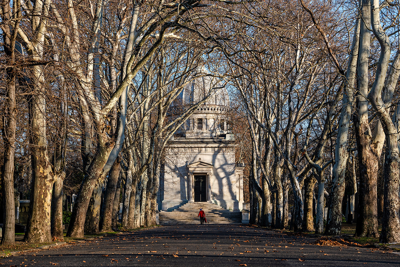 Deák Mausoleum in the Fiumei Street Cemetery #8455