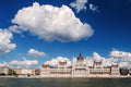 Parliament with a cloud of sheep #8579