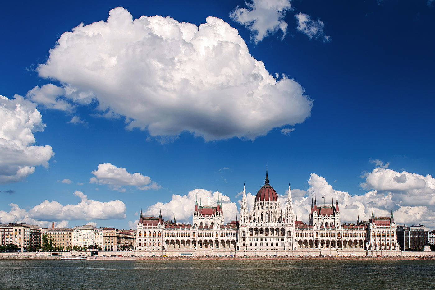 Parliament with a cloud of sheep #8579