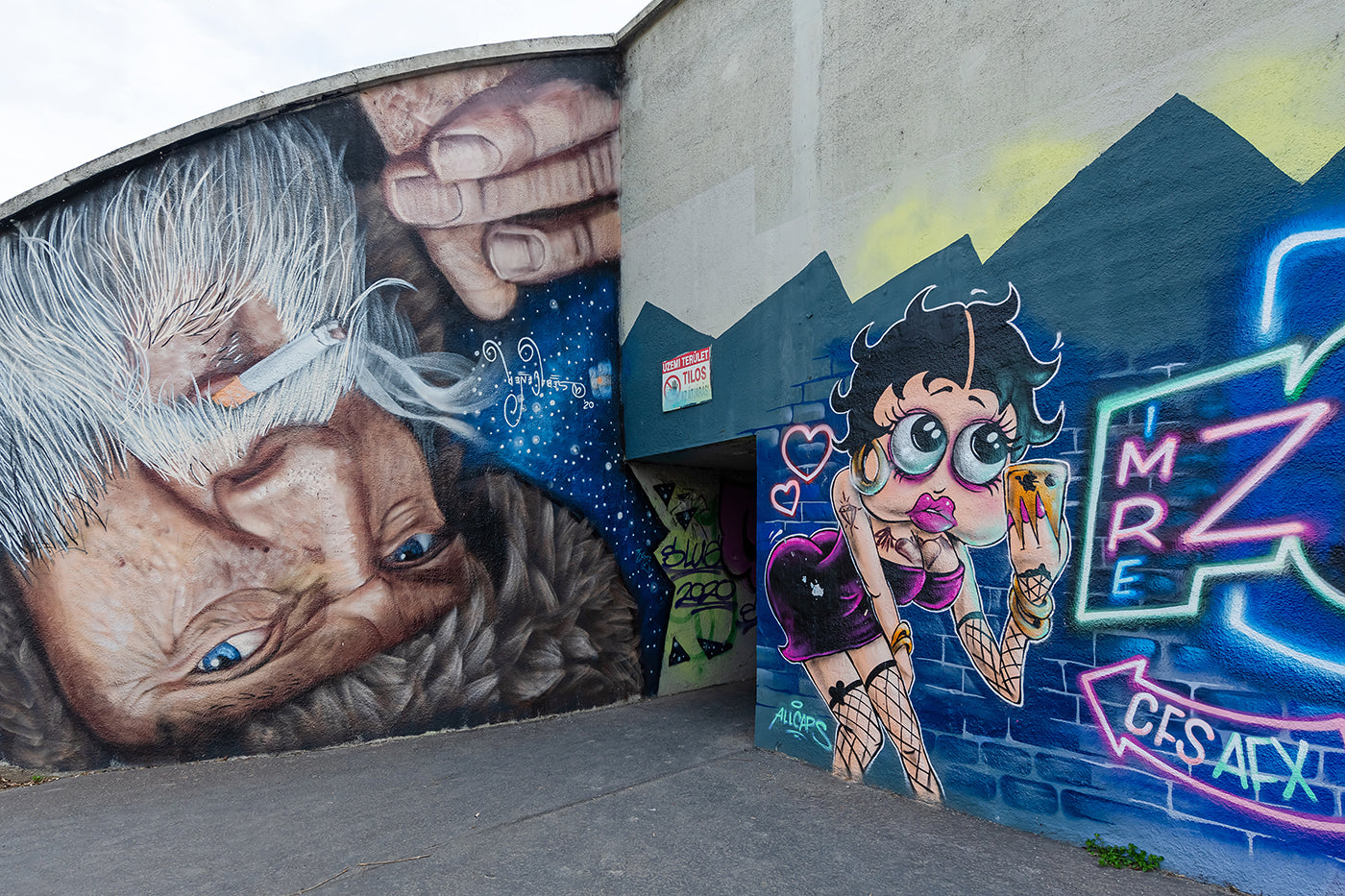 Murals in Budafok #8657