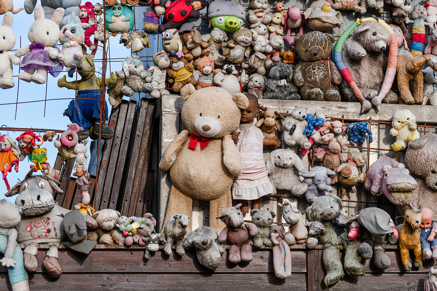 The plush fence of Budafok #8764