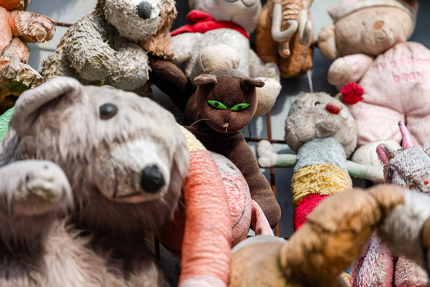 The plush fence of Budafok #8765