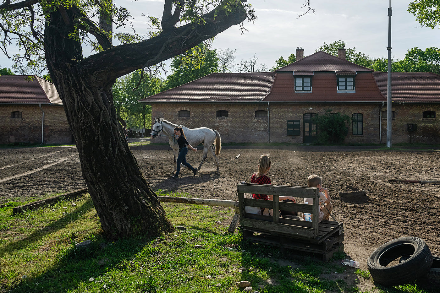 Istállók a Kincsem Parkban #8791