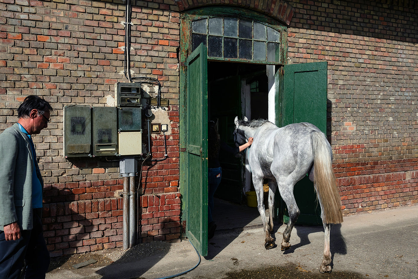 Stable in Kincsem Park #8793