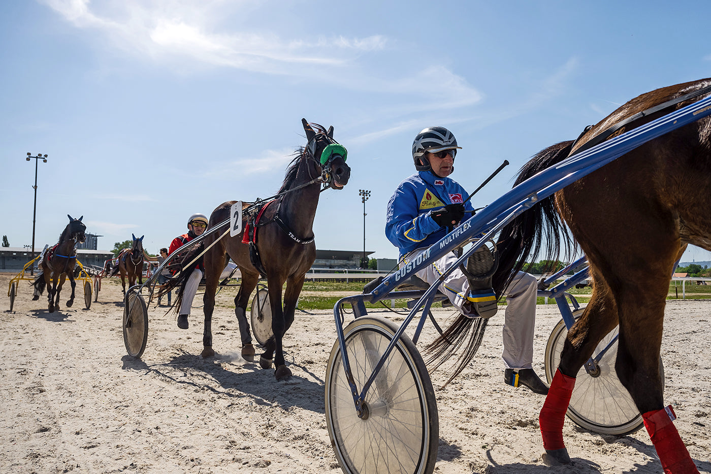Trotting in Kincsem Park #8813