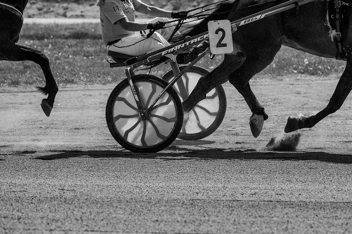Trotting in Kincsem Park #8819