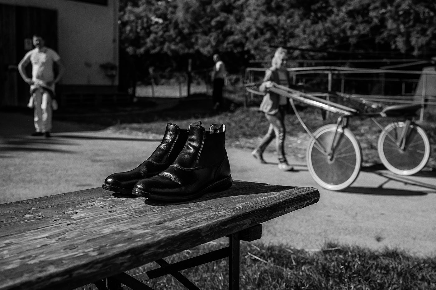 Életkép a Kincsem Parkban #8840