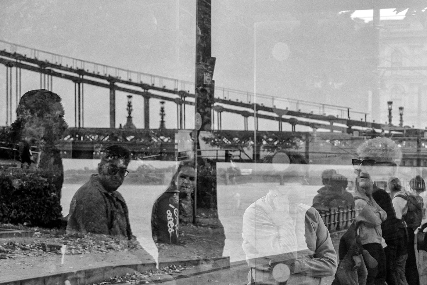 Reflection on the Danube Bank #8853