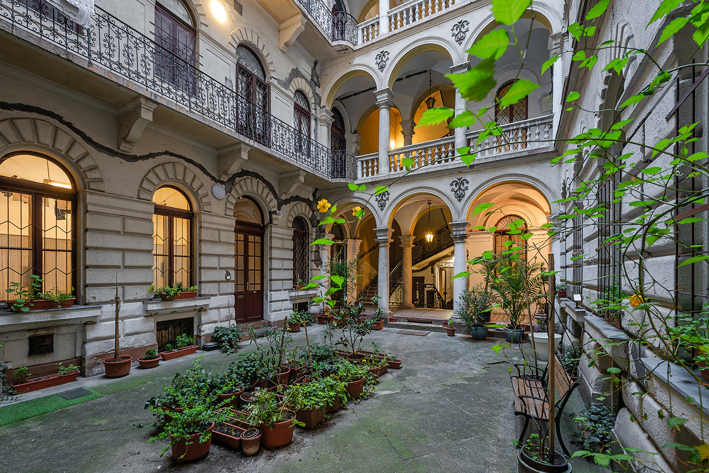 Bajnok Street 1st yard #8952