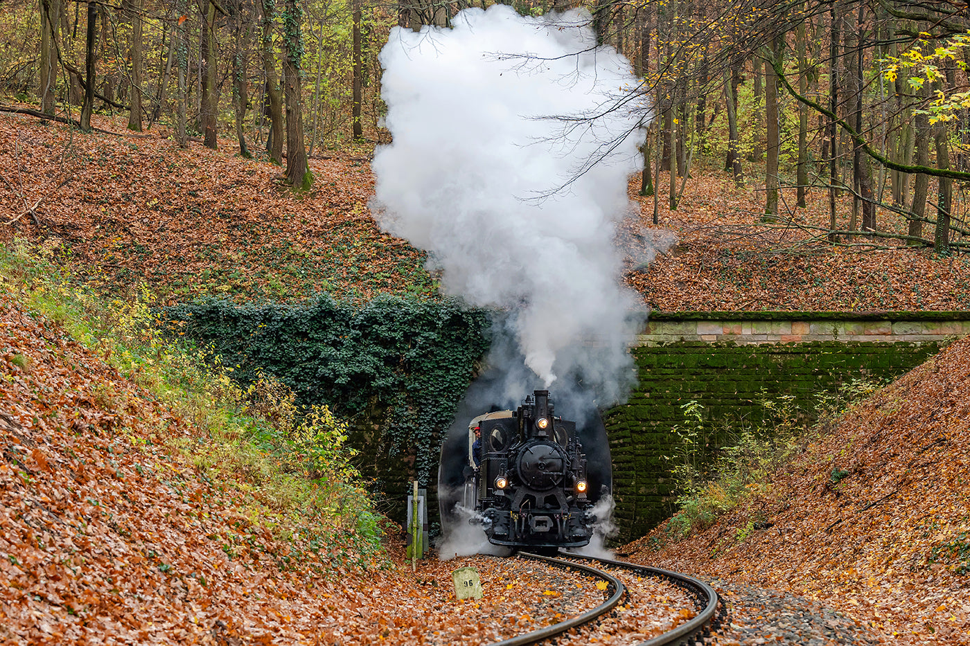 The Children's Railway steamer at the Lárs-hegy tunnel #8967