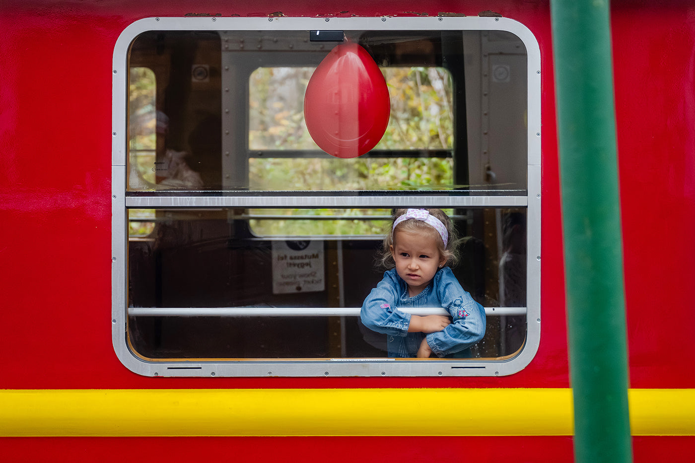 Széchenyi Mountain Children's Railway #8969