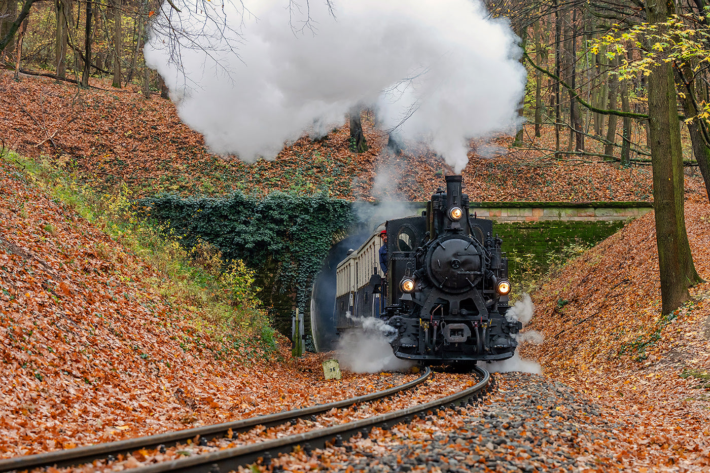 The Children's Railway steamer at the Lárs-hegy tunnel #8980