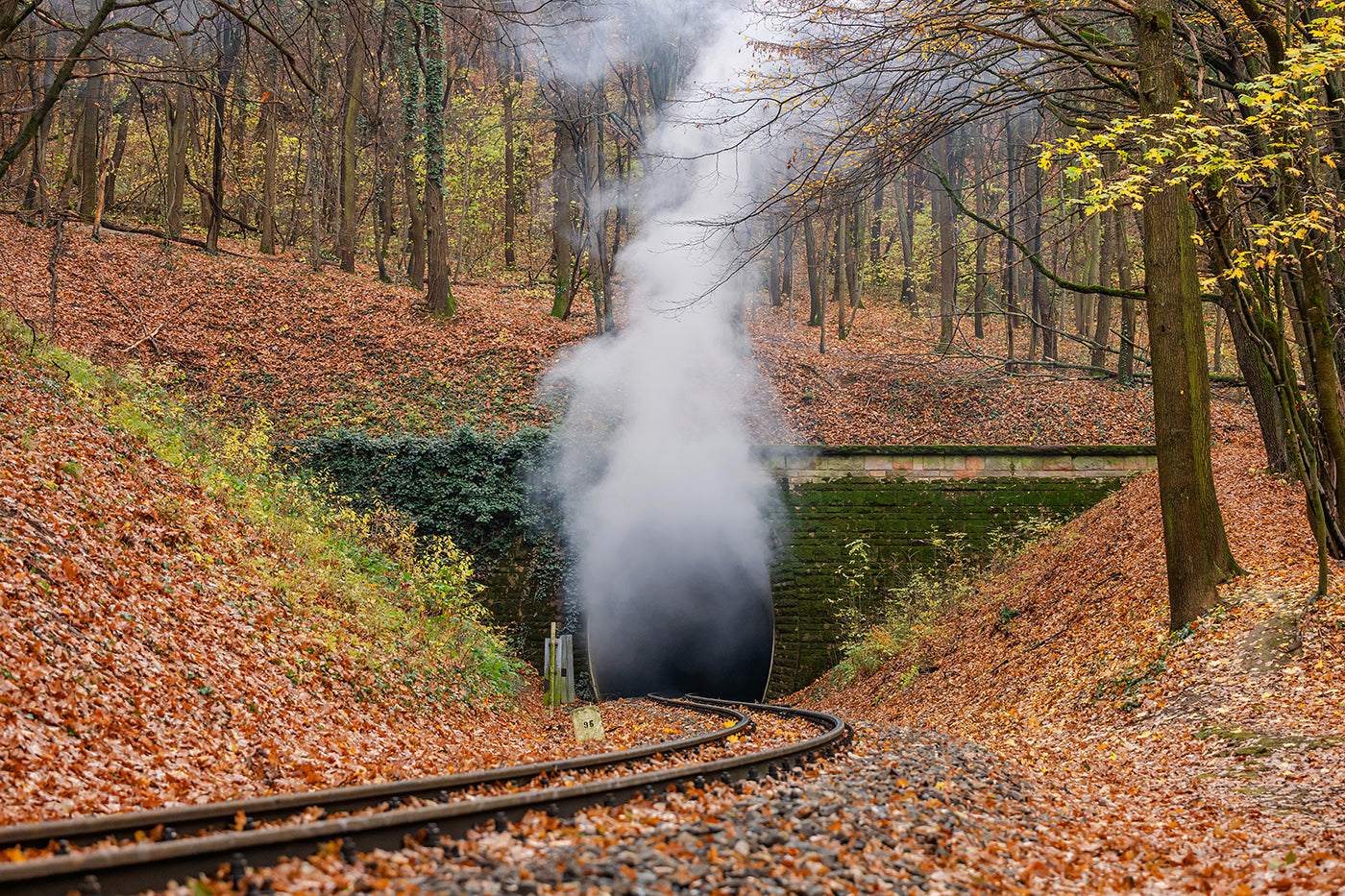 The smoking tunnel of Lárs-hegy #8981