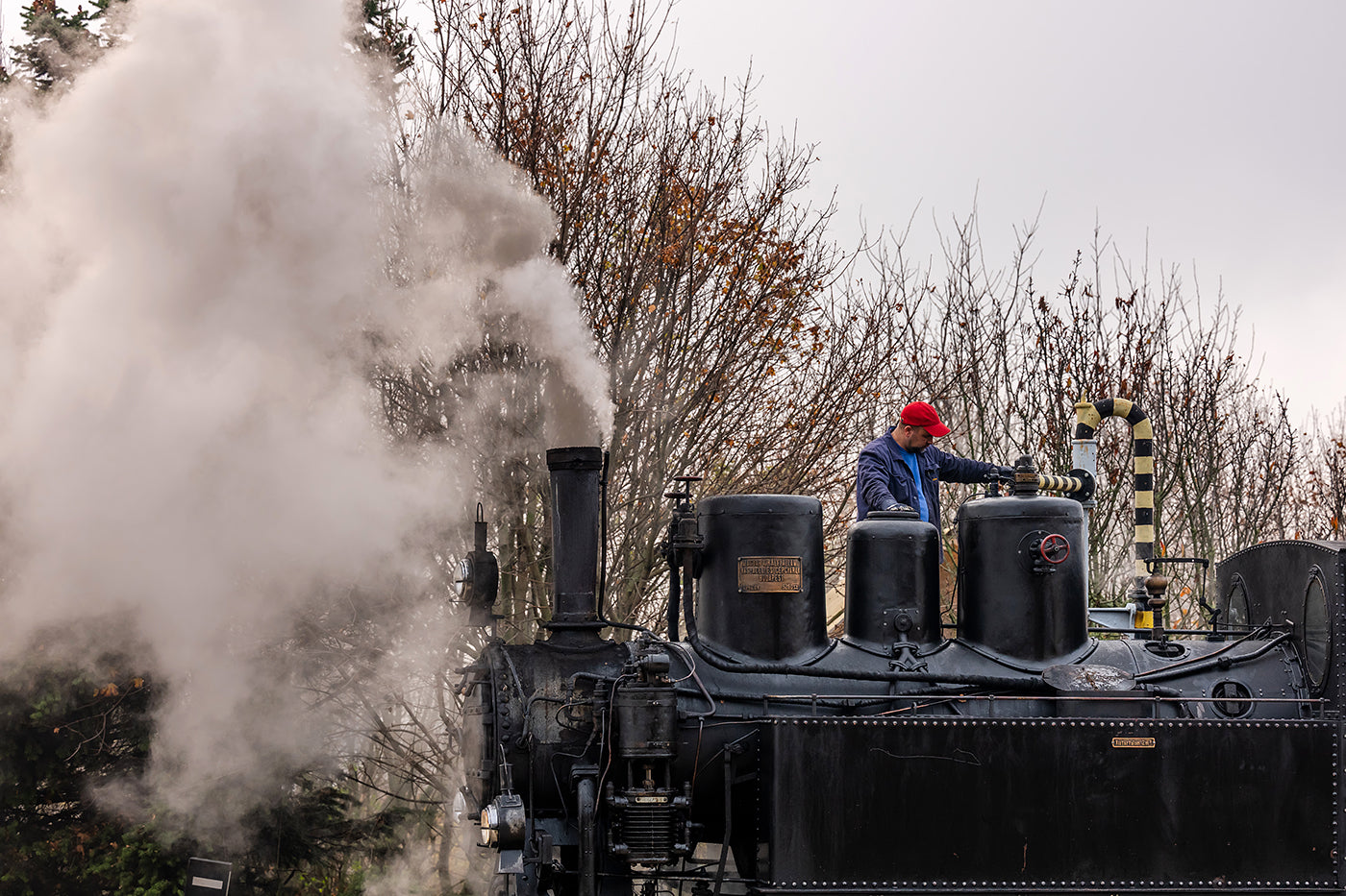 Driver on the Children's Railway steamer #8982