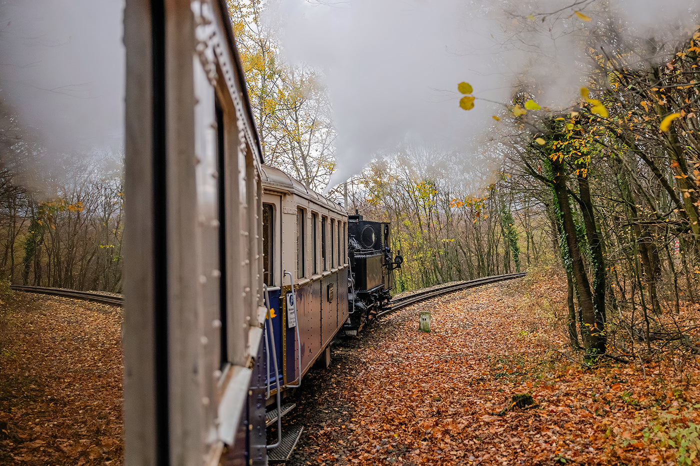 Széchenyi Mountain Children's Railway #8988