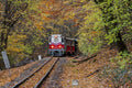 Gyermekvasút ősszel #9030