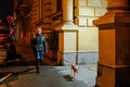 Dog walking on Izabella Street #9040
