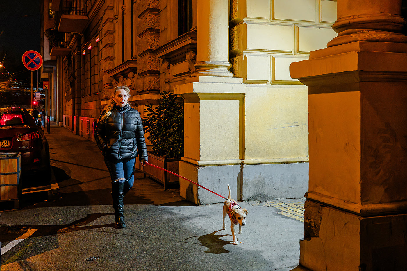Dog walking on Izabella Street #9040