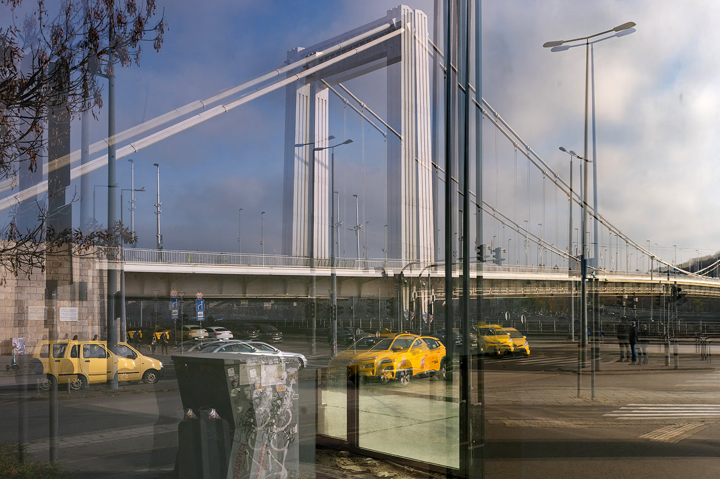 Reflection at the Elizabeth Bridge #9056