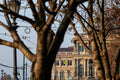 Hungarian Academy of Sciences #9131