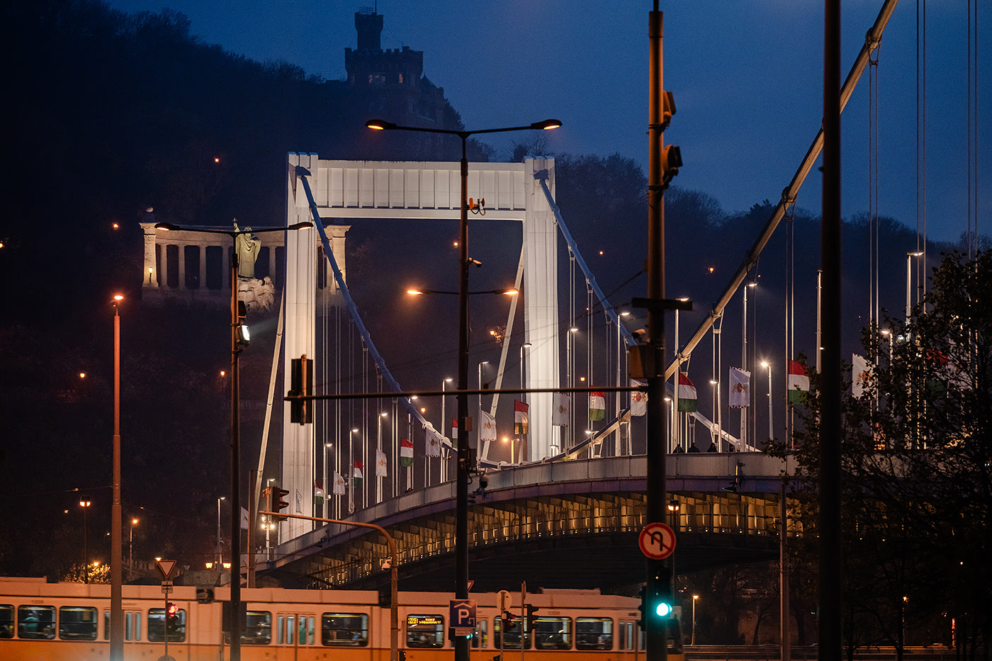 Elizabeth Bridge at night #9147