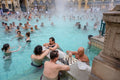 Chess players in Széchenyi #9166