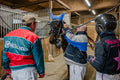Stable in Kincsem Park #9184