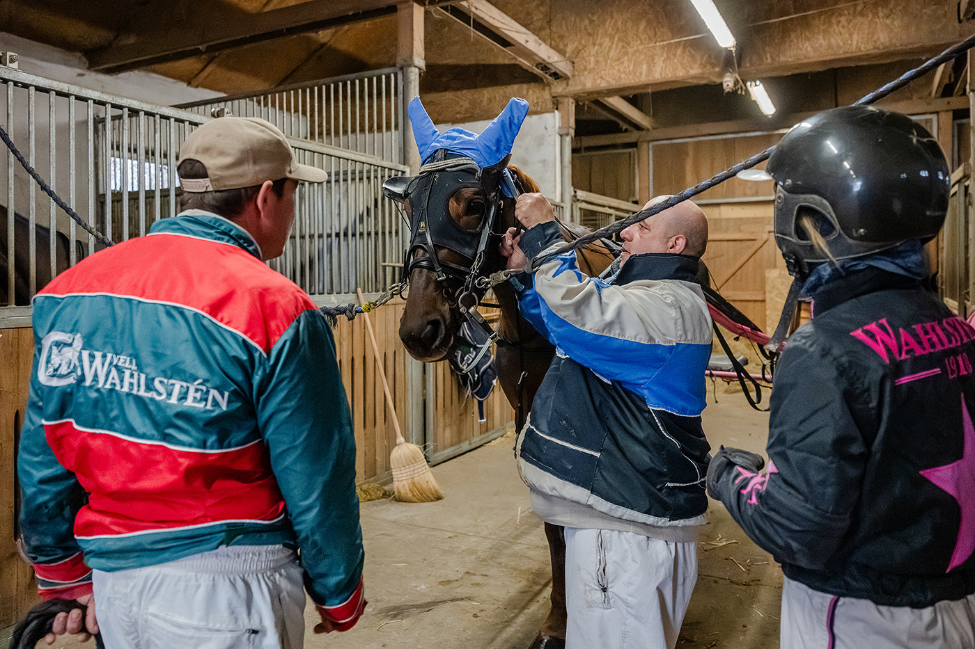 Stable in Kincsem Park #9184