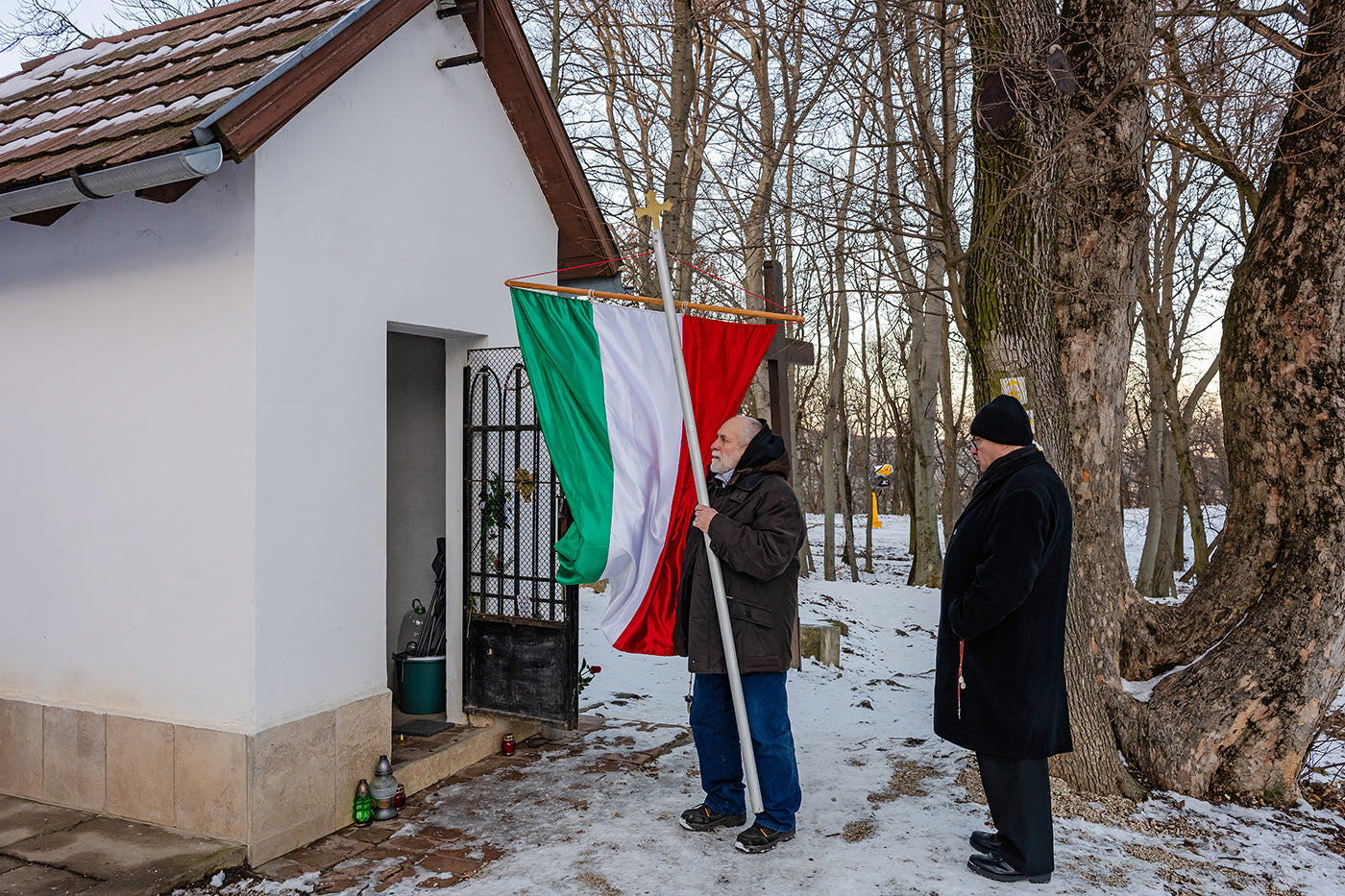 With Hungarian flag on snowy Normafa #9221