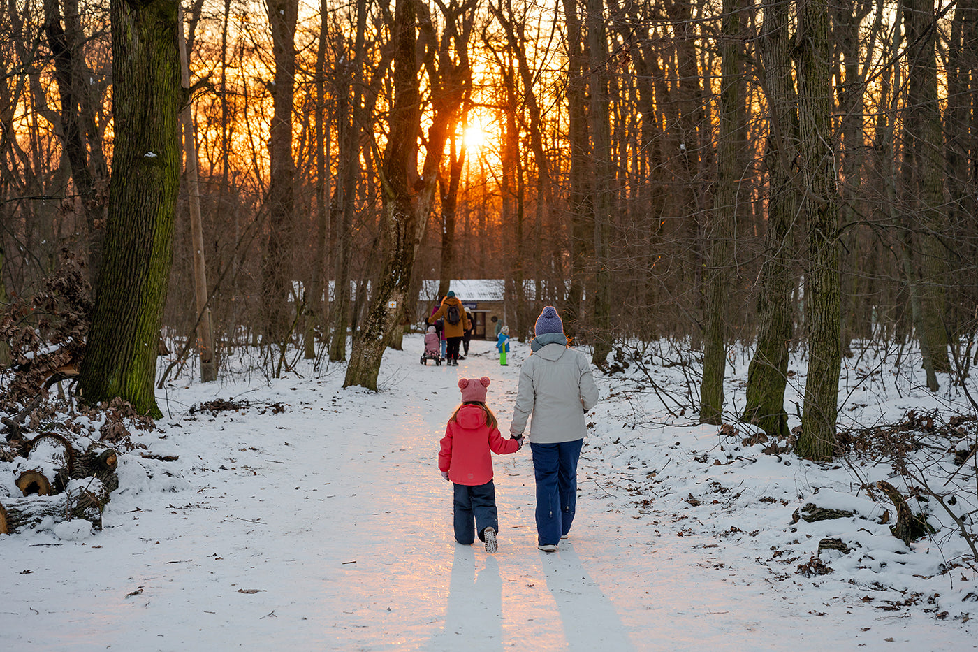 Sunset on the snowy Normafa #9227