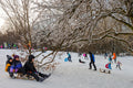 Sledding on Normafa #9237