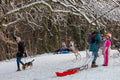 Sledding on Normafa #9241